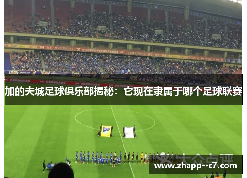 加的夫城足球俱乐部揭秘：它现在隶属于哪个足球联赛