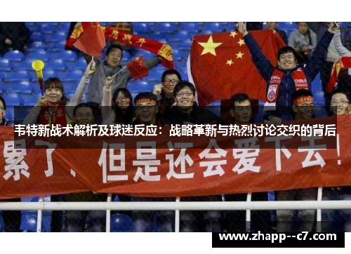 韦特新战术解析及球迷反应：战略革新与热烈讨论交织的背后