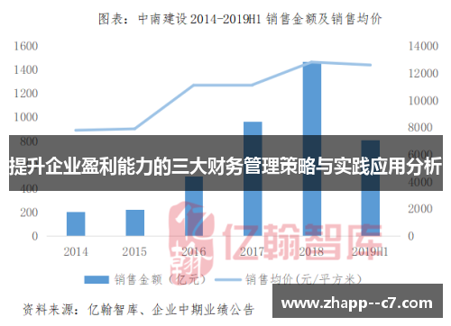 提升企业盈利能力的三大财务管理策略与实践应用分析