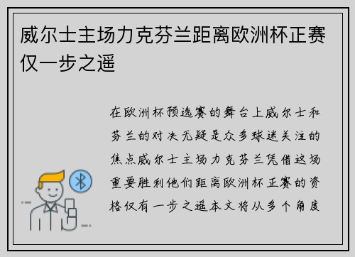 威尔士主场力克芬兰距离欧洲杯正赛仅一步之遥