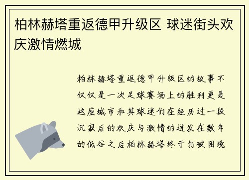 柏林赫塔重返德甲升级区 球迷街头欢庆激情燃城